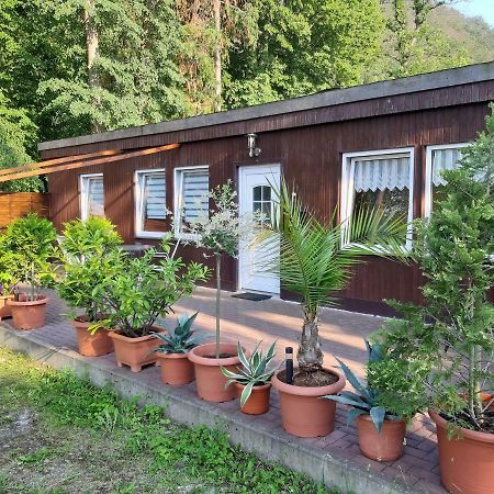 Отель Alte Waldmuehle Вернигероде Экстерьер фото